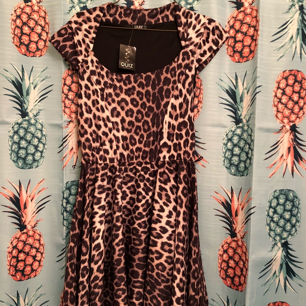 Leopard Skater Dress